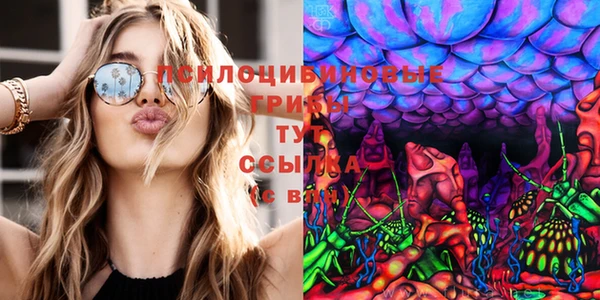 каннабис Алексин