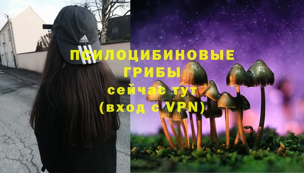мескалин Алексеевка