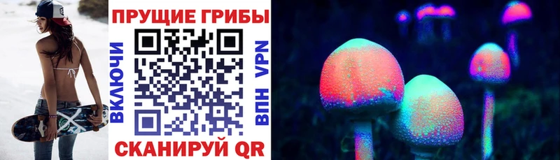 где можно купить   Углич  Галлюциногенные грибы Psilocybe 