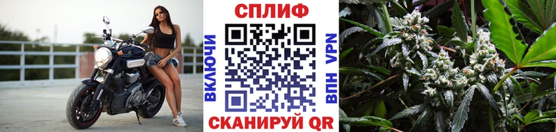 Марихуана ГИДРОПОН  продажа наркотиков  Углич 